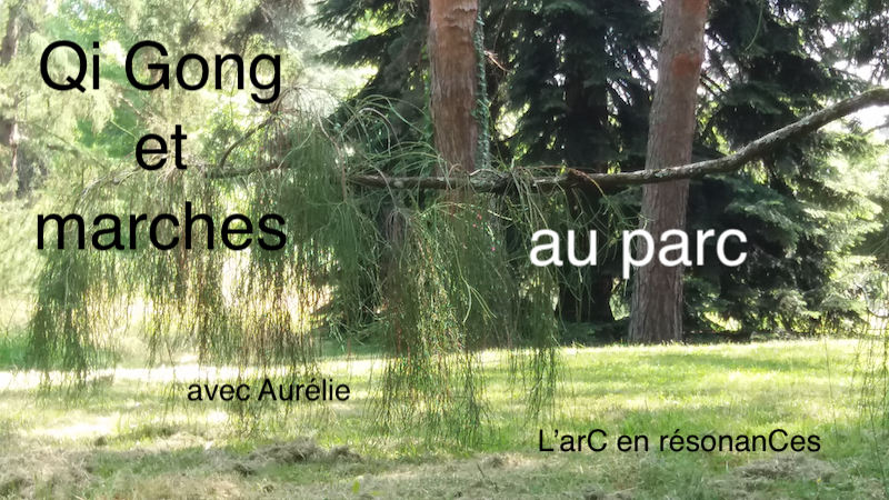 Cours de Qi Gong et marches au parc à Genève, été 2024